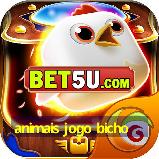 animais jogo bicho